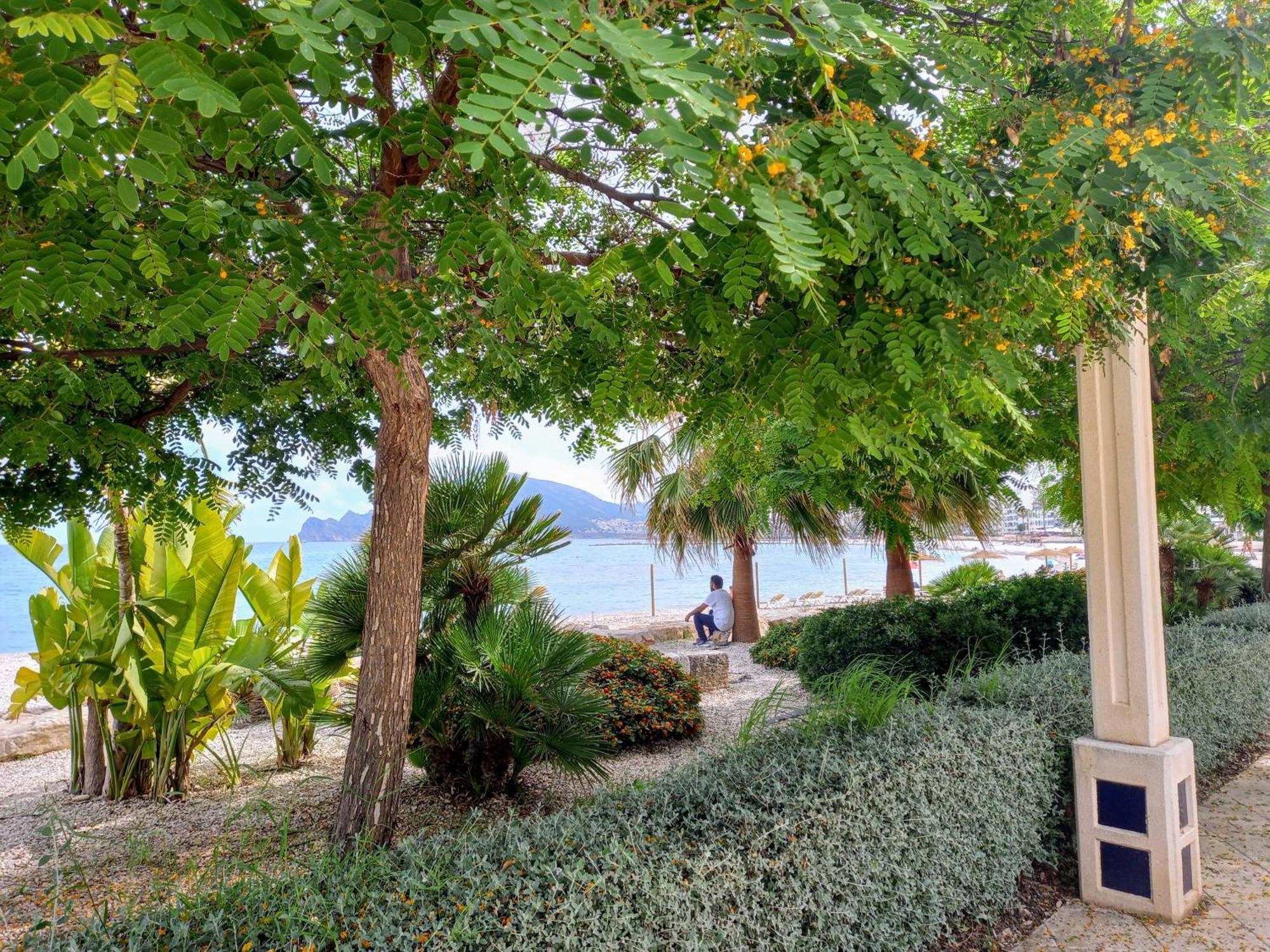 Townhouse Los Olivos M Altea Esterno foto